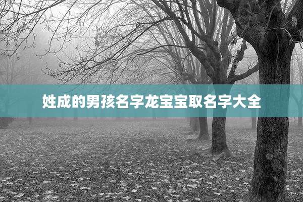 姓成的男孩名字龙宝宝取名字大全