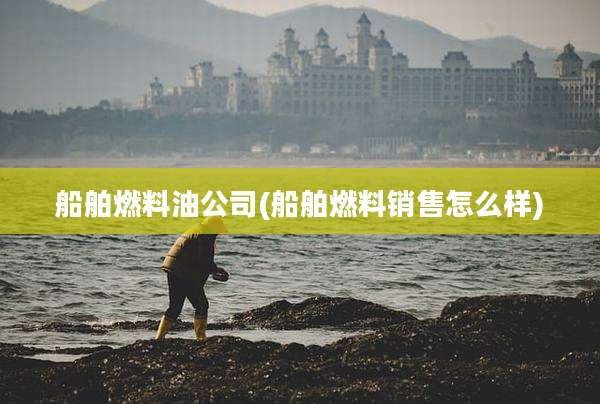 船舶燃料油公司(船舶燃料销售怎么样)
