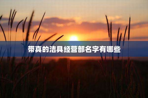 带真的洁具经营部名字有哪些
