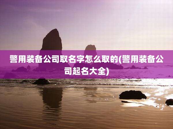 警用装备公司取名字怎么取的(警用装备公司起名大全)
