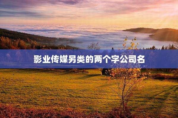 影业传媒另类的两个字公司名
