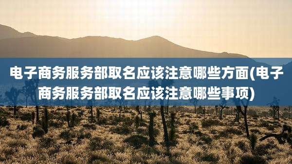 电子商务服务部取名应该注意哪些方面(电子商务服务部取名应该注意哪些事项)