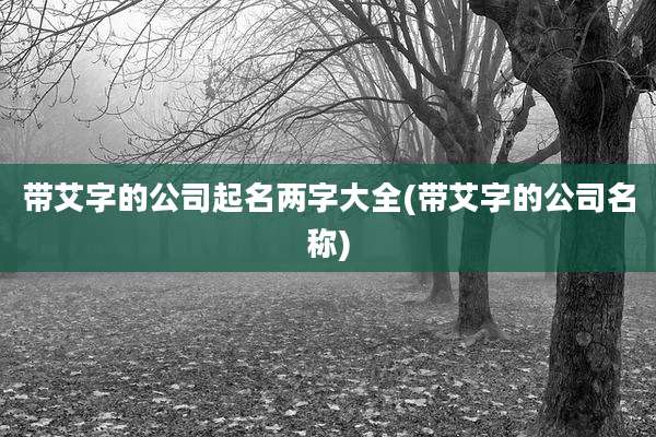 带艾字的公司起名两字大全(带艾字的公司名称)