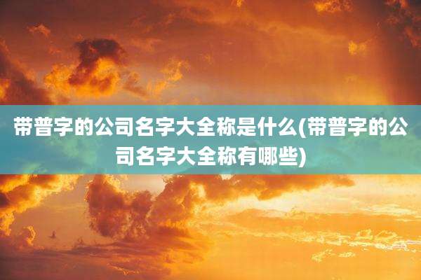 带普字的公司名字大全称是什么(带普字的公司名字大全称有哪些)