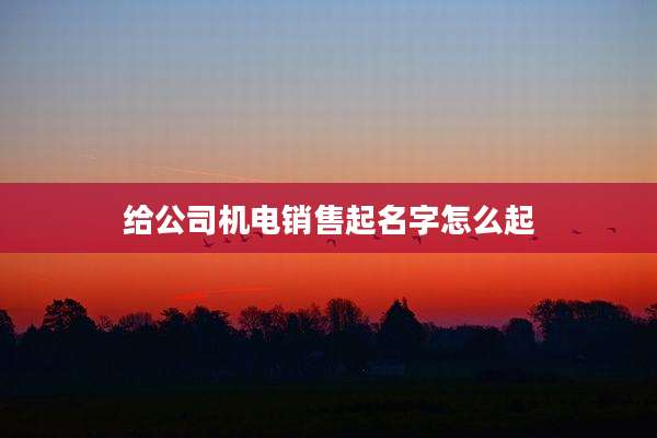 给公司机电销售起名字怎么起