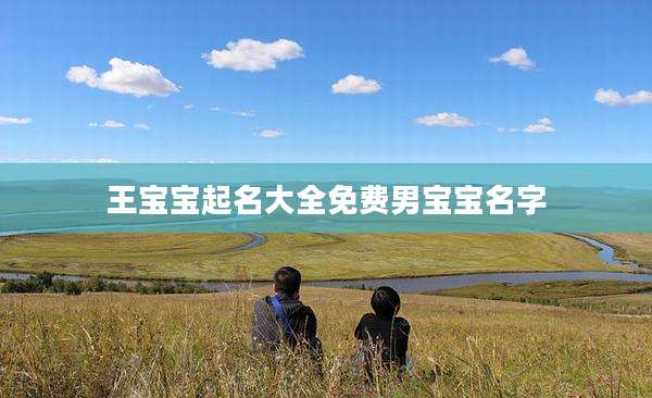 王宝宝起名大全免费男宝宝名字