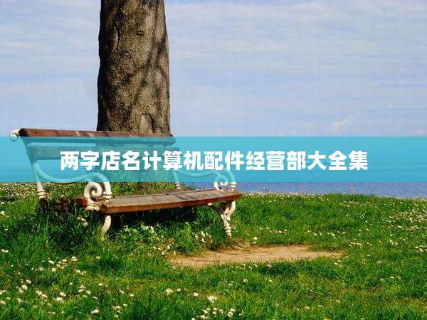 两字店名计算机配件经营部大全集