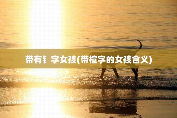 带有钅字女孩(带楦字的女孩含义)