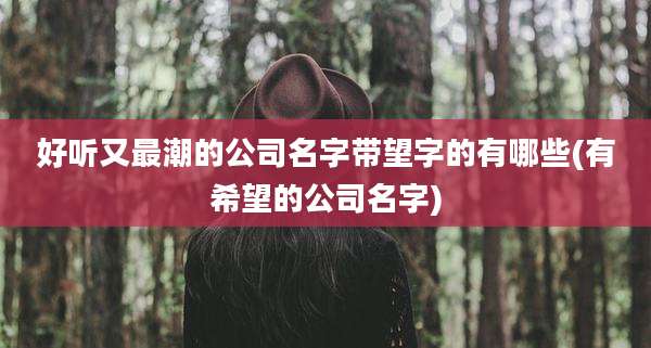 好听又最潮的公司名字带望字的有哪些(有希望的公司名字)