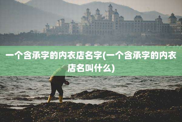 一个含承字的内衣店名字(一个含承字的内衣店名叫什么)