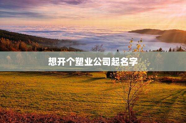 想开个塑业公司起名字