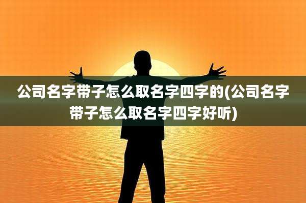 公司名字带子怎么取名字四字的(公司名字带子怎么取名字四字好听)