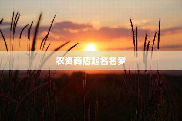 农资商店起名名梦