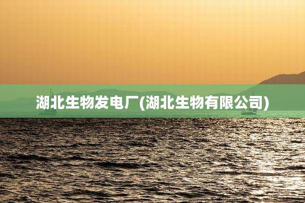湖北生物发电厂(湖北生物有限公司)