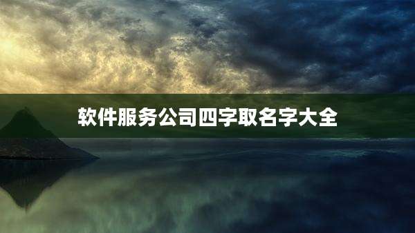 软件服务公司四字取名字大全