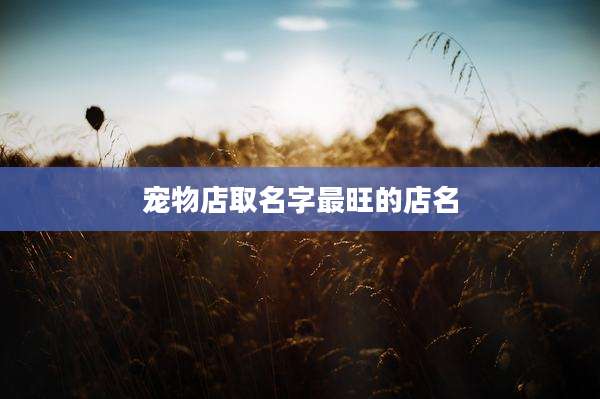 宠物店取名字最旺的店名