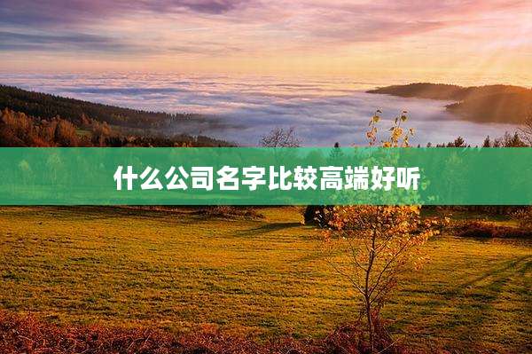 什么公司名字比较高端好听
