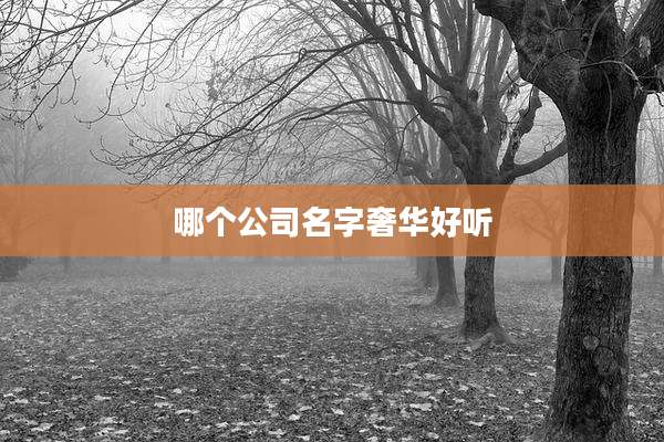 哪个公司名字奢华好听