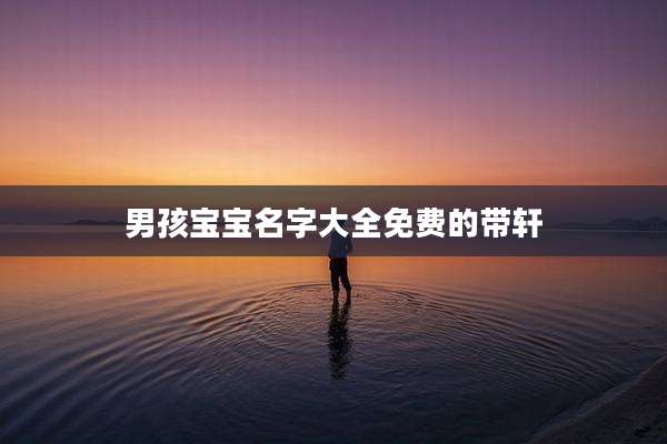 男孩宝宝名字大全免费的带轩