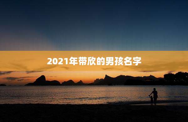 2021年带欣的男孩名字