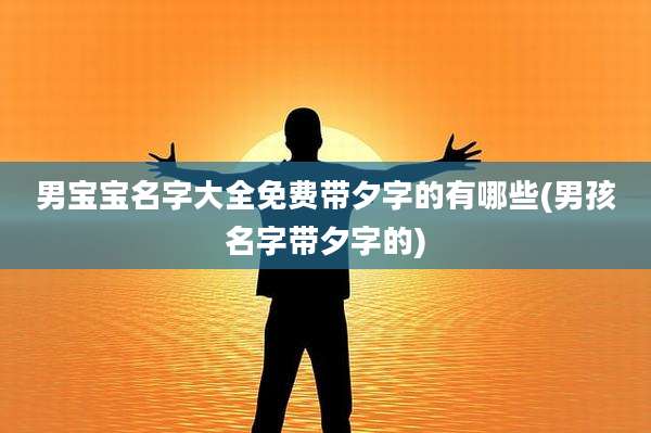 男宝宝名字大全免费带夕字的有哪些(男孩名字带夕字的)