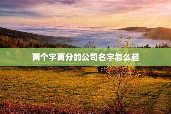 两个字高分的公司名字怎么起