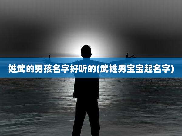 姓武的男孩名字好听的(武姓男宝宝起名字)