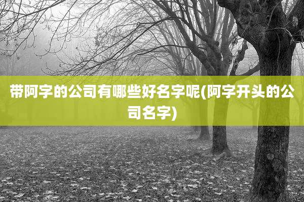 带阿字的公司有哪些好名字呢(阿字开头的公司名字)