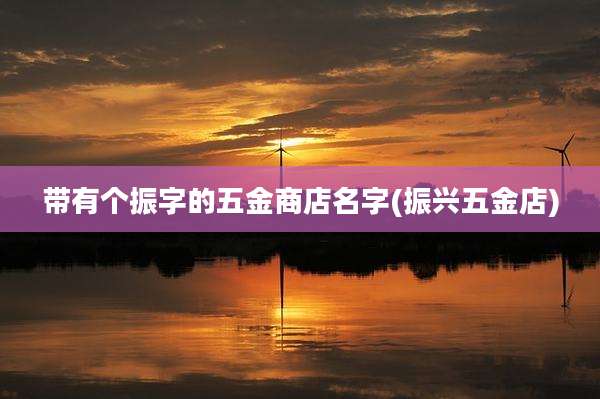带有个振字的五金商店名字(振兴五金店)