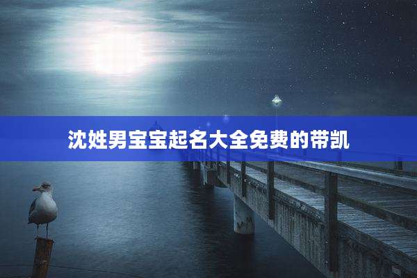 沈姓男宝宝起名大全免费的带凯