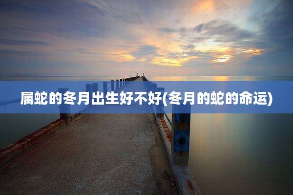 属蛇的冬月出生好不好(冬月的蛇的命运)