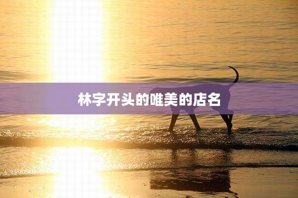 林字开头的唯美的店名