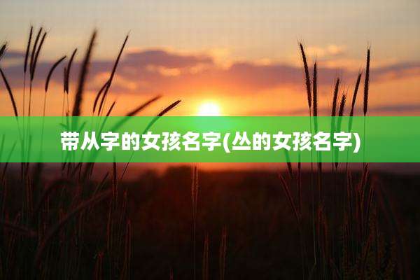 带从字的女孩名字(丛的女孩名字)
