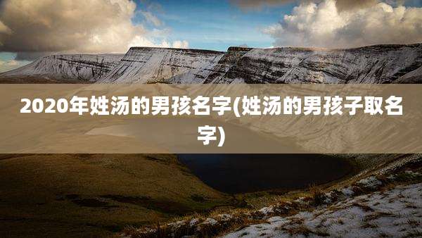 2020年姓汤的男孩名字(姓汤的男孩子取名字)