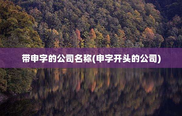 带申字的公司名称(申字开头的公司)