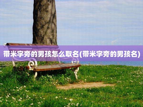 带米字旁的男孩怎么取名(带米字旁的男孩名)