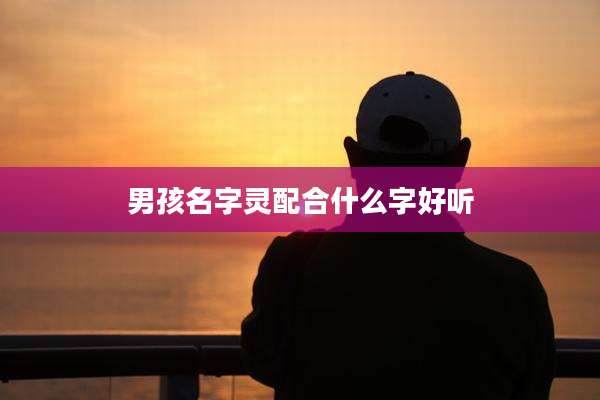 男孩名字灵配合什么字好听