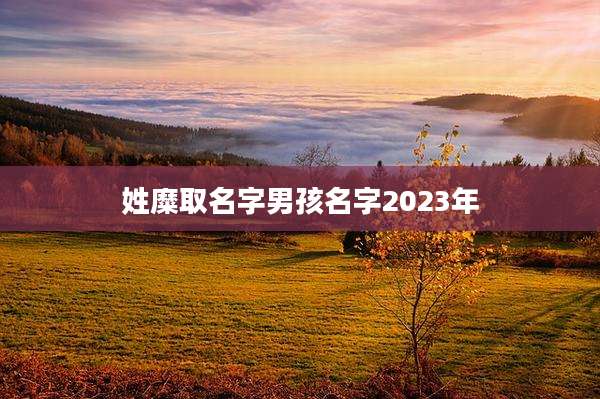 姓糜取名字男孩名字2023年
