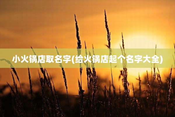 小火锅店取名字(给火锅店起个名字大全)
