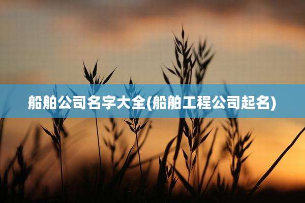 船舶公司名字大全(船舶工程公司起名)