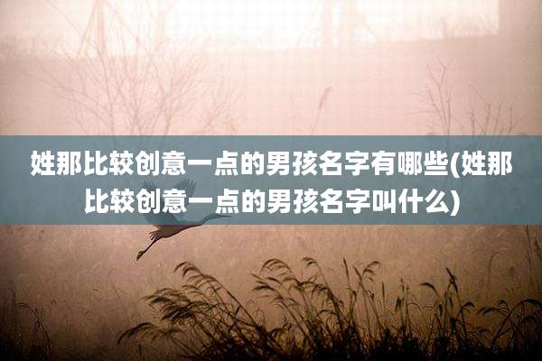 姓那比较创意一点的男孩名字有哪些(姓那比较创意一点的男孩名字叫什么)