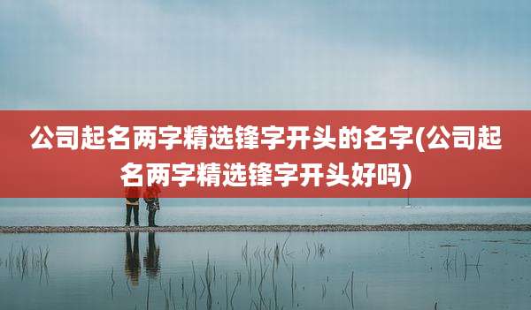 公司起名两字精选锋字开头的名字(公司起名两字精选锋字开头好吗)