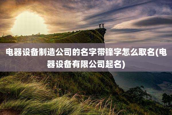 电器设备制造公司的名字带锋字怎么取名(电器设备有限公司起名)