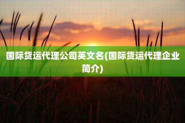 国际货运代理公司英文名(国际货运代理企业简介)