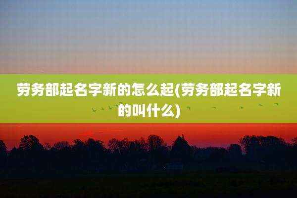 劳务部起名字新的怎么起(劳务部起名字新的叫什么)