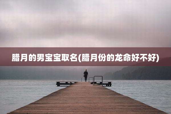 腊月的男宝宝取名(腊月份的龙命好不好)