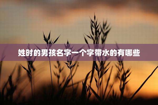 姓时的男孩名字一个字带水的有哪些