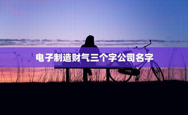 电子制造财气三个字公司名字