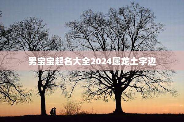 男宝宝起名大全2024属龙土字边