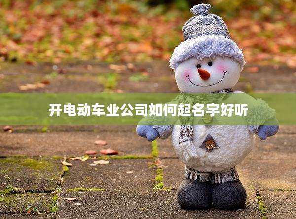 开电动车业公司如何起名字好听